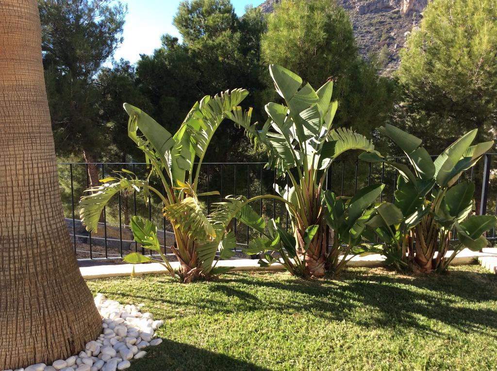 Olivos Holiday Home Альтеа Номер фото